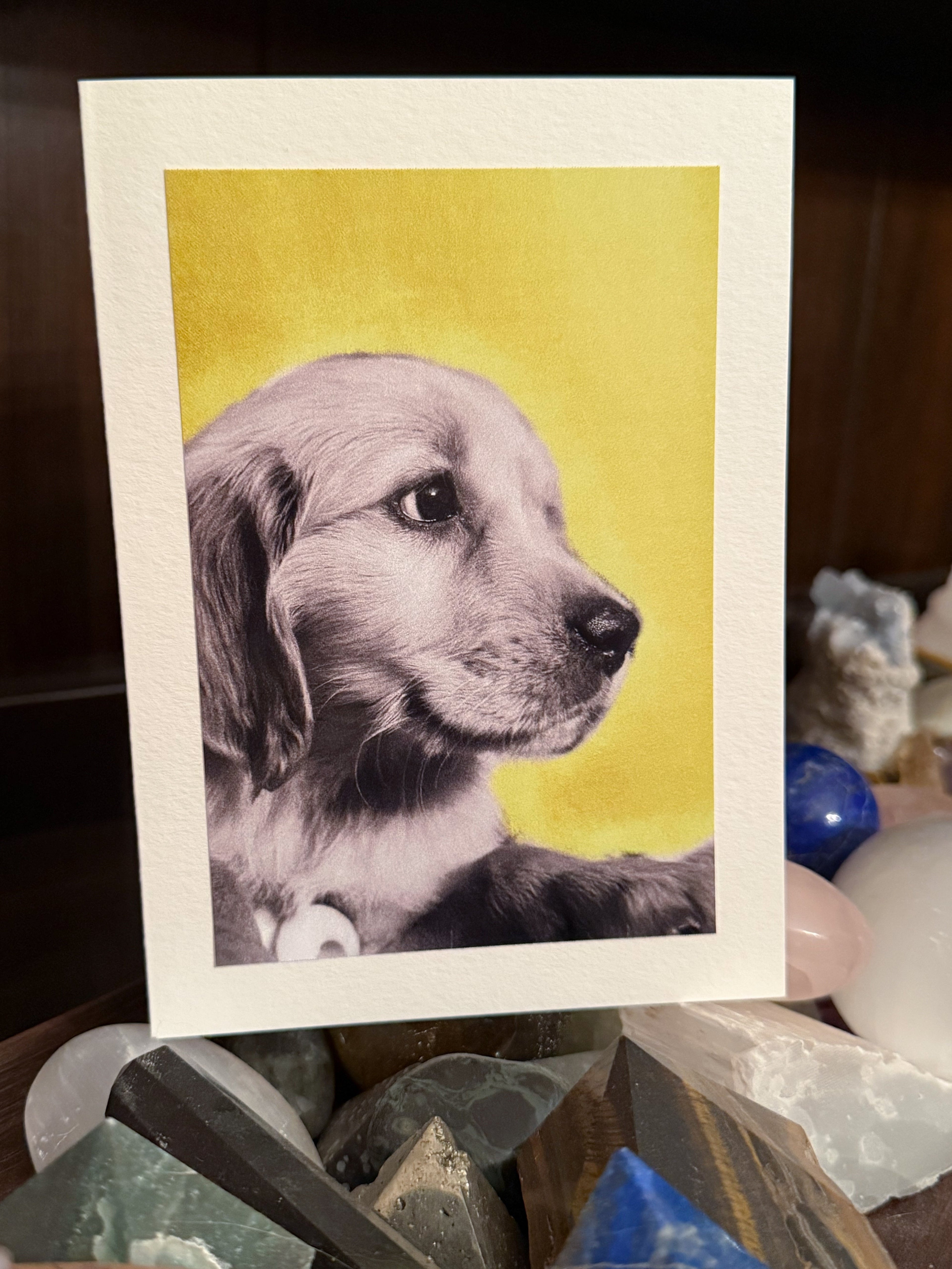 New Greeting Card Available - Ellowyn, Little Miss Sunshine