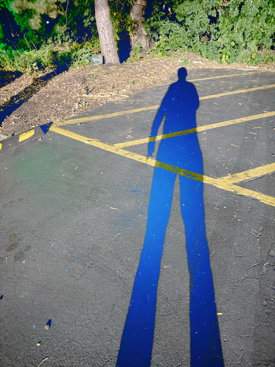 Reached Over 1,000 Followers On X, Thank You!