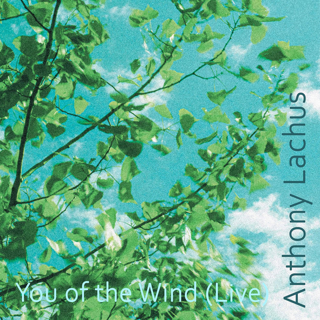 New Song Release - You of the Wind