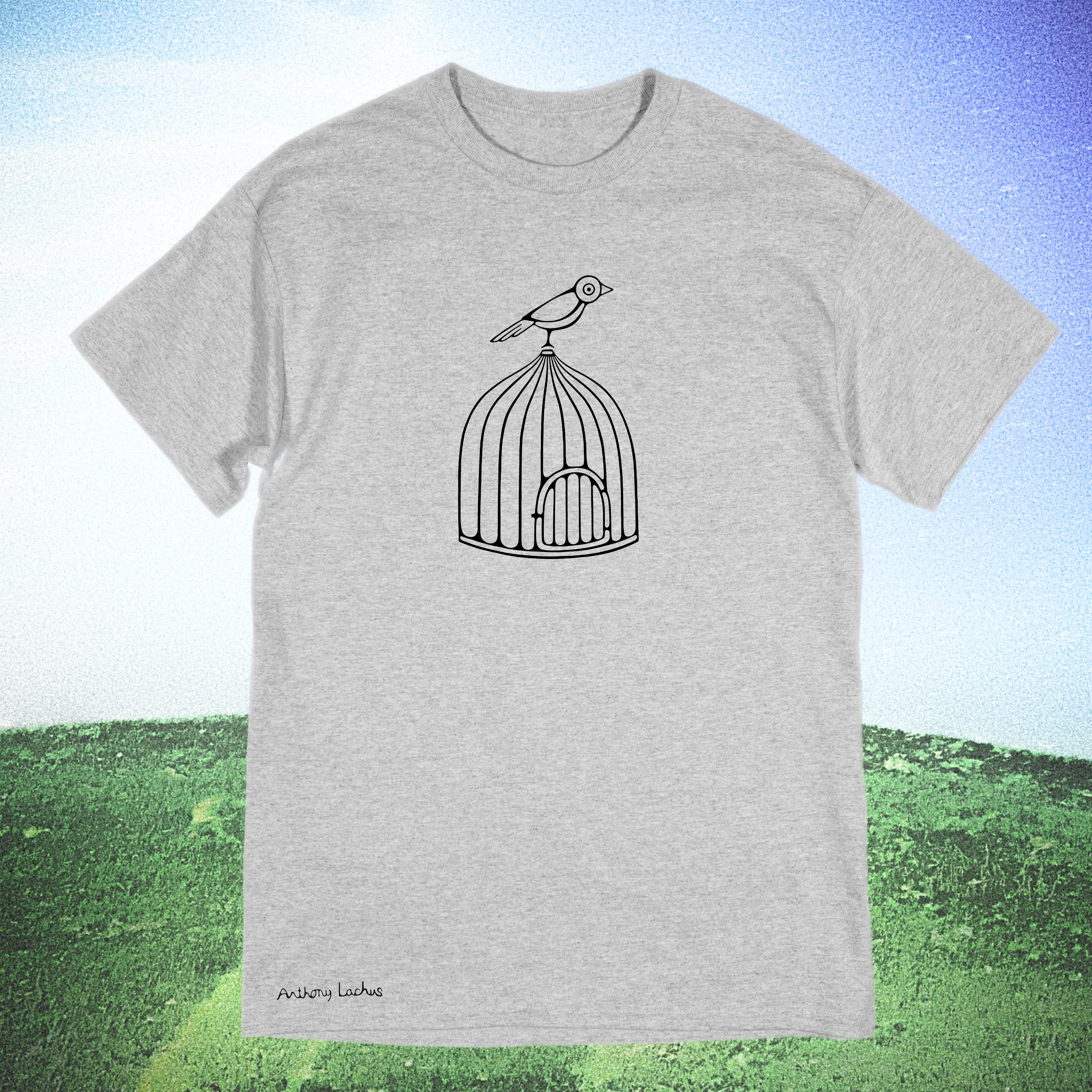 Bird On Cage