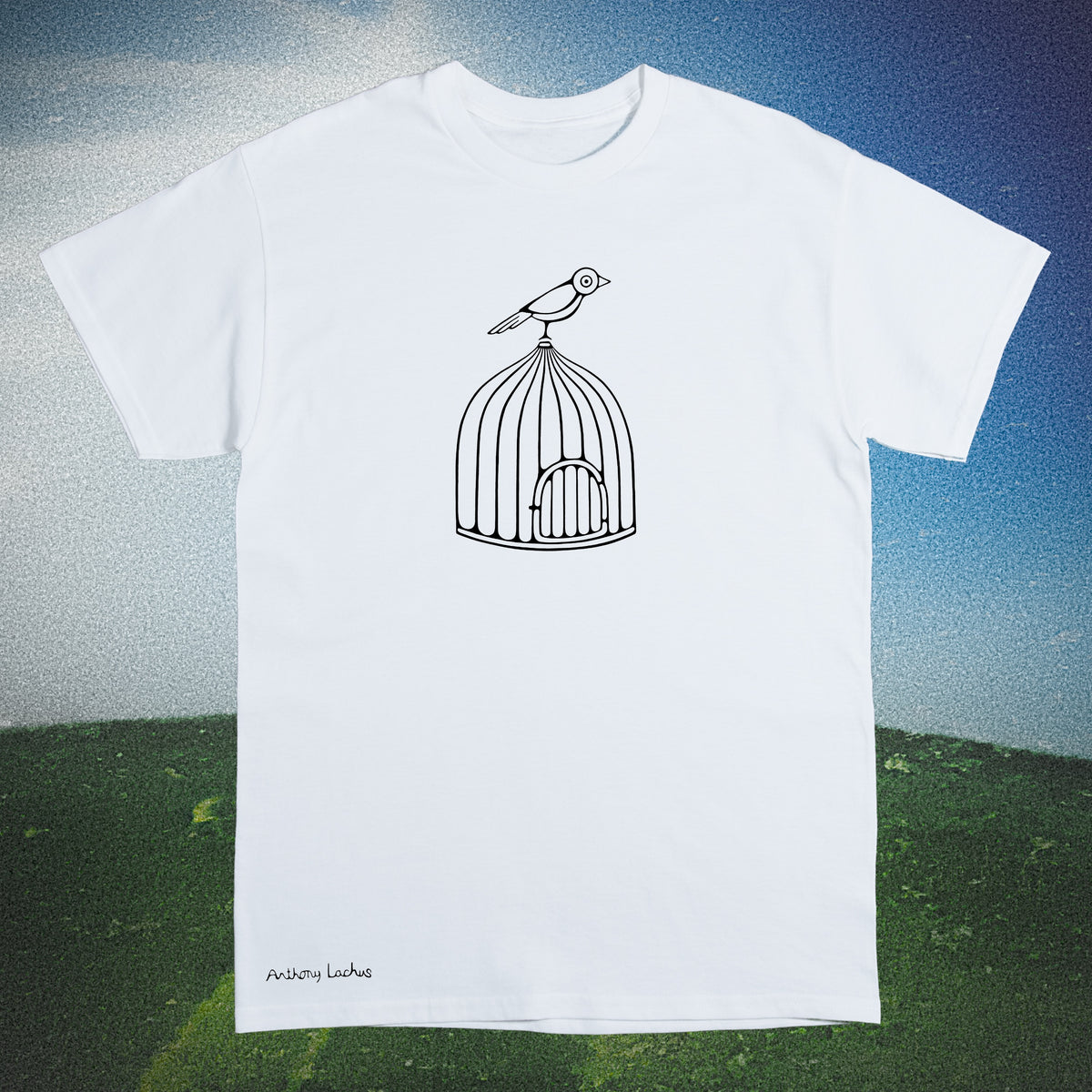 Bird On Cage