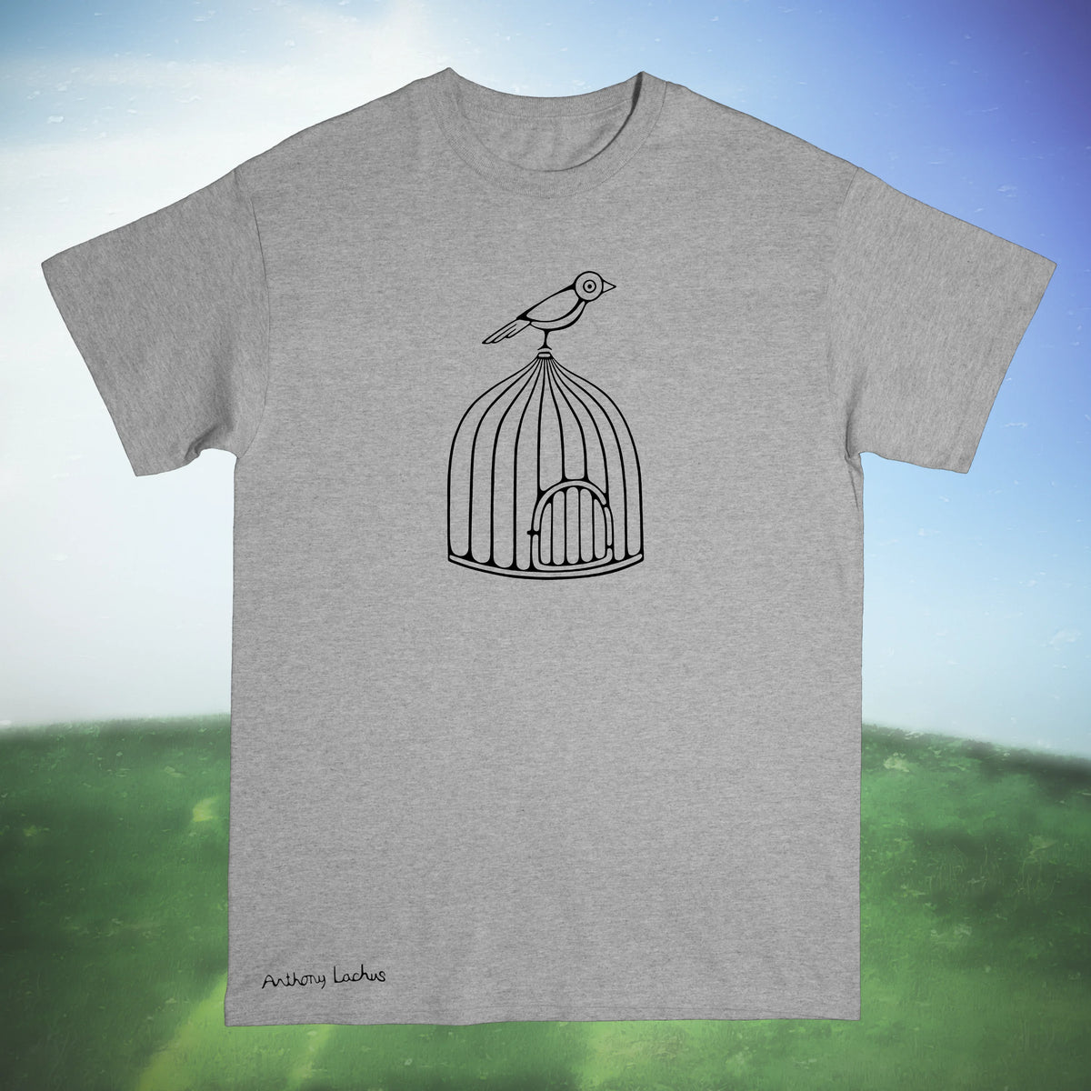 Bird On Cage