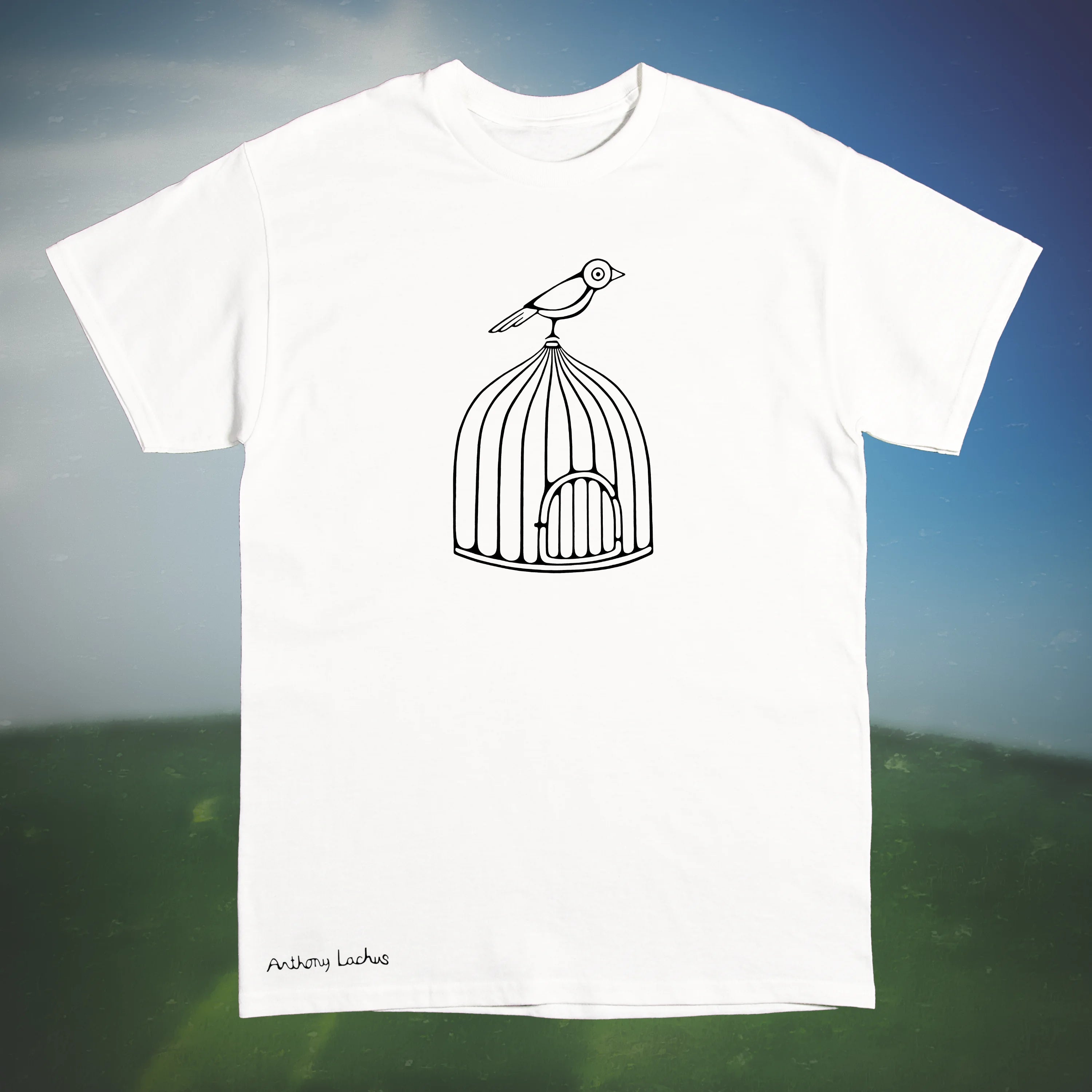 Bird On Cage