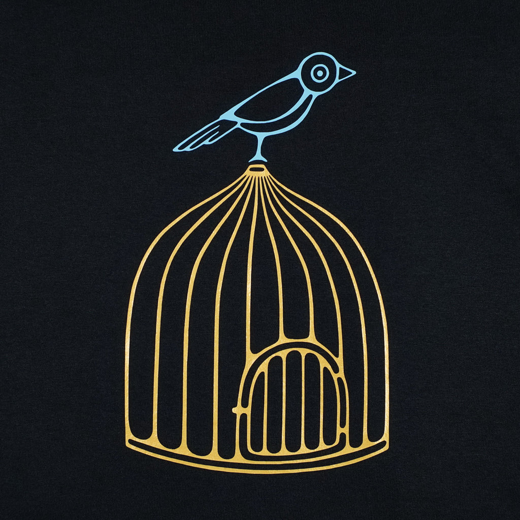 Bird On Cage