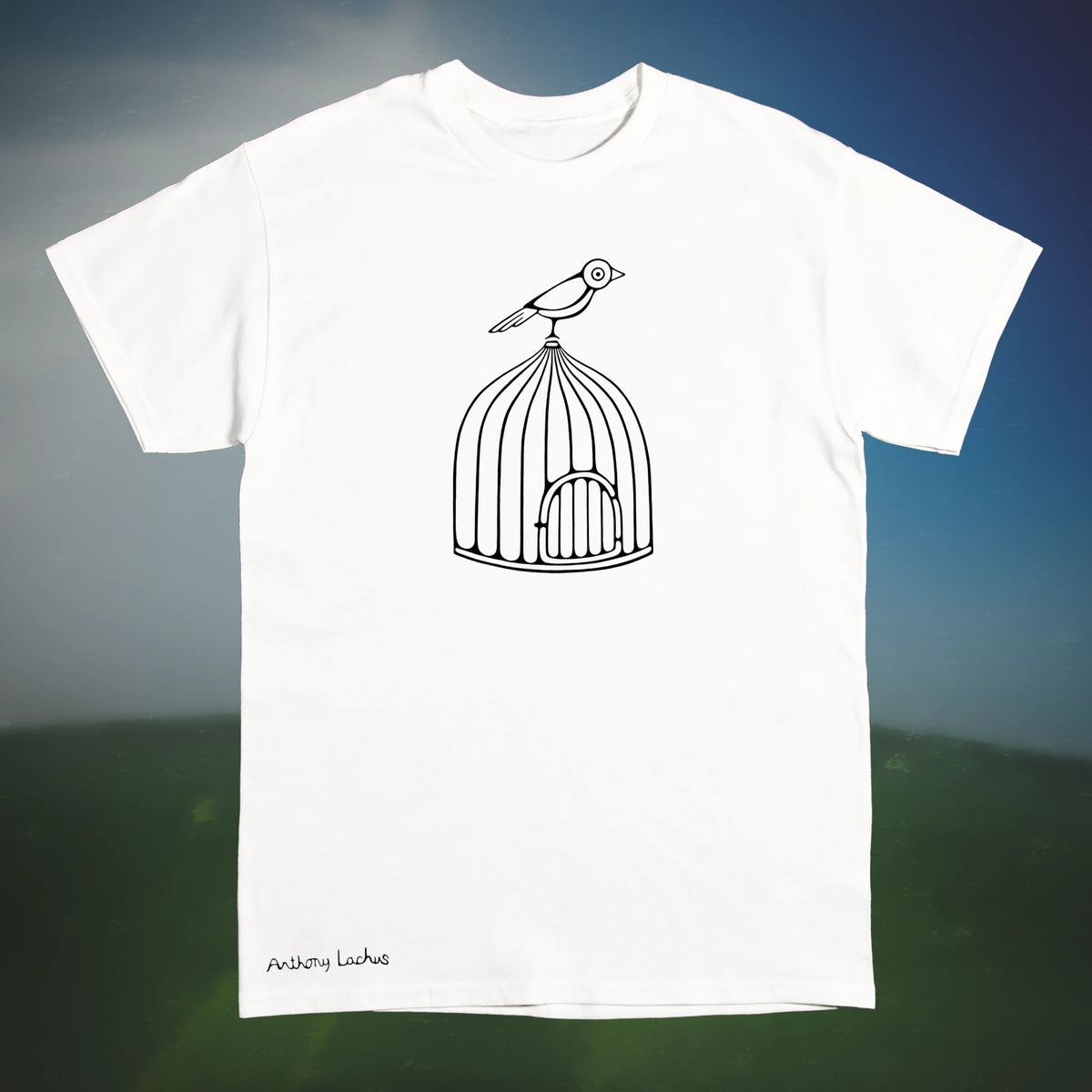 A white short sleeved Gildan g500 crewneck t-shirt featuring a black graphic design line drawing of bird perched on a cage, laid flat on a green, white and blue background. An original hand drawn artwork by Anthony Lachus. Front view.